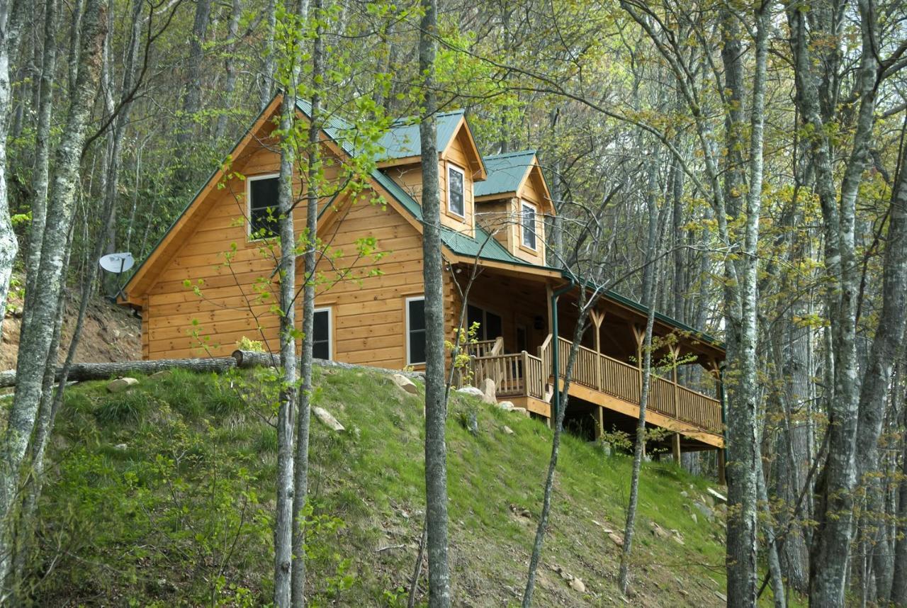 Hôtel Cherokee Mountain Cabins Llc à Topton Extérieur photo